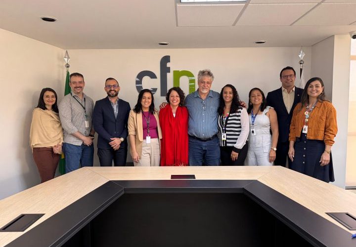 CFN e SGTES/MS alinham estratégias para especialidades em Nutrição e planejamento da força de trabalho em saúde