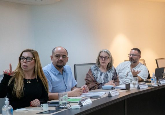 CFN avança na atualização da Resolução nº 600/2018 e reforça valorização do nutricionista